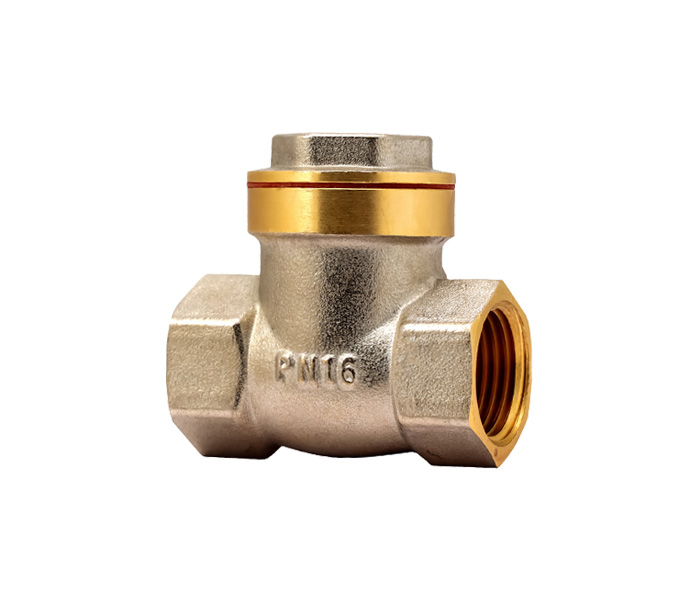 Swing Check Valve
